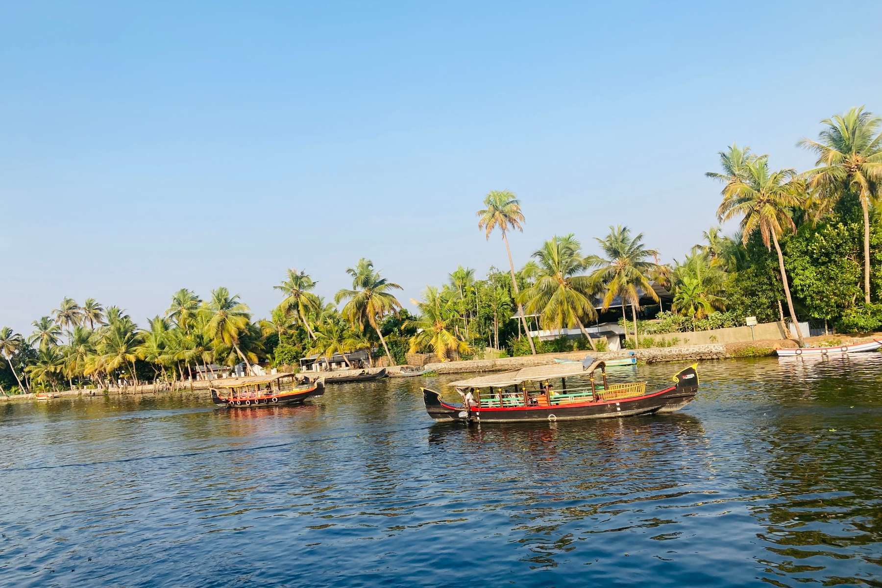 Shikara ride at Poovar island, Kerala Image