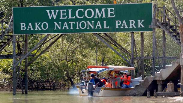 Embark on a trip to the Bako National Park