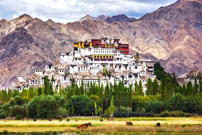 Explore Thiksey Monastery’s 12-storey complex with ancient Buddhist artifacts