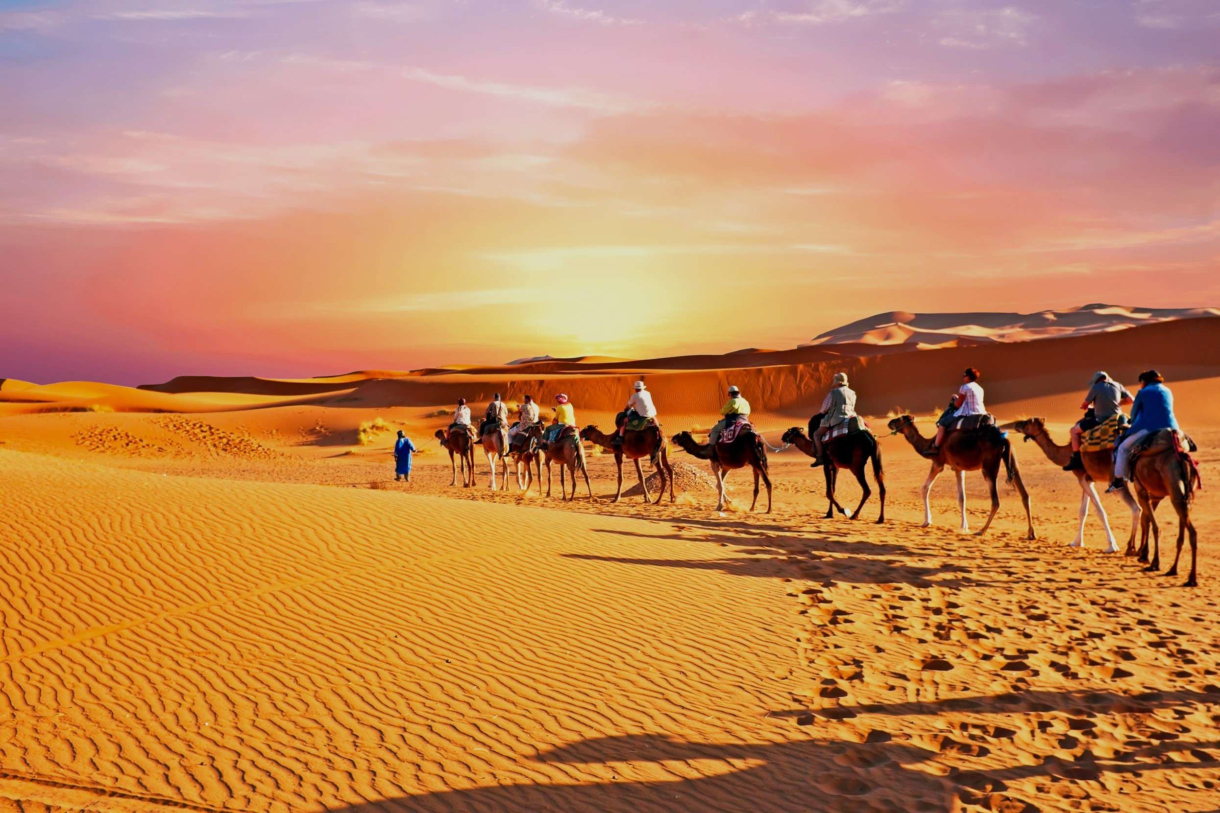 Ride camels across golden dunes in Merzouga’s desert