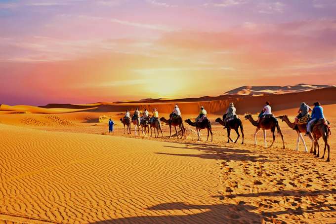 Ride camels across golden dunes in Merzouga’s desert