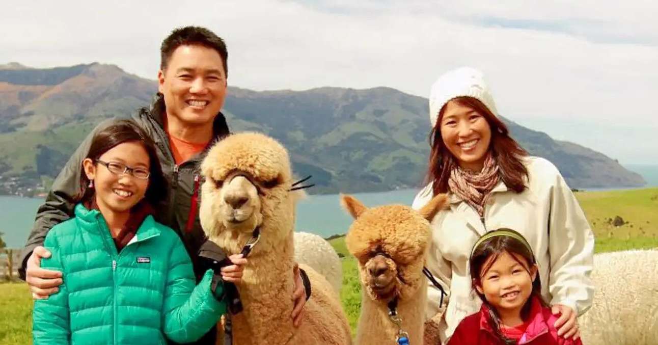 Akaroa Shamarra Alpaca Farm Tour Image