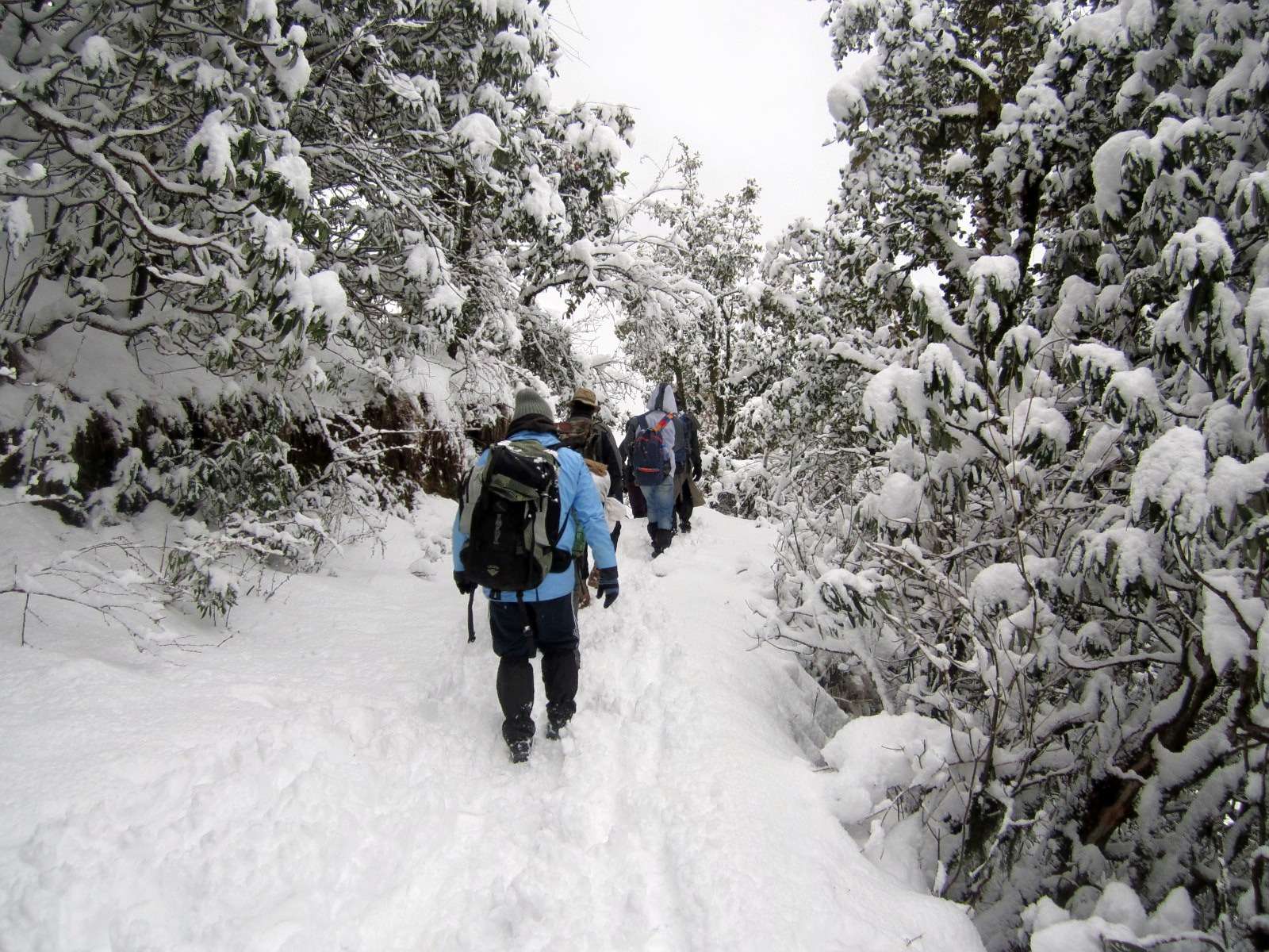 Panwali Kantha Trek, Uttarakhand