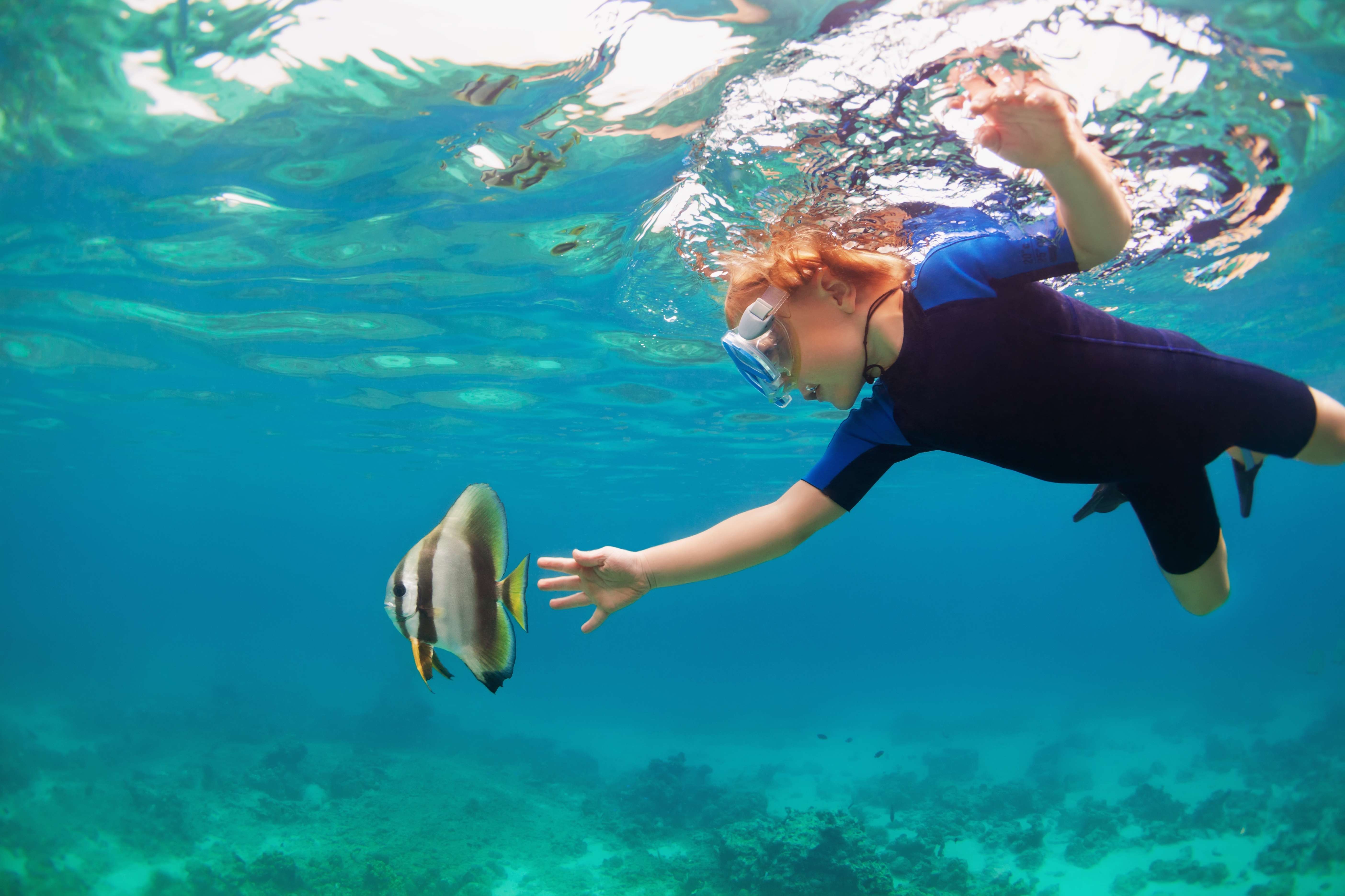 Enjoy snorkeling in the clear waters of Pondicherry
