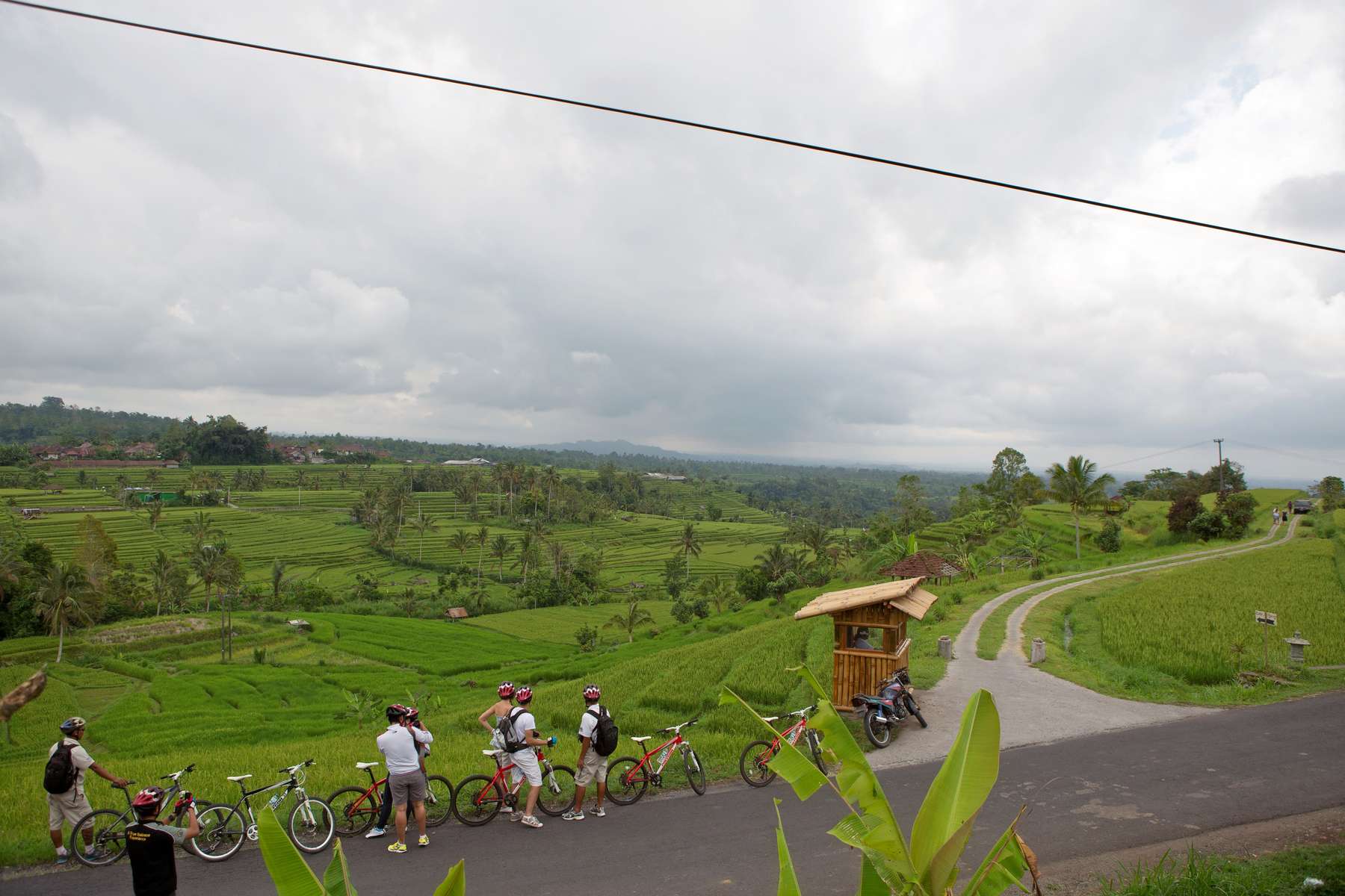 Cycling Through The Rice Paddy At Jatiluwih In Bal Image