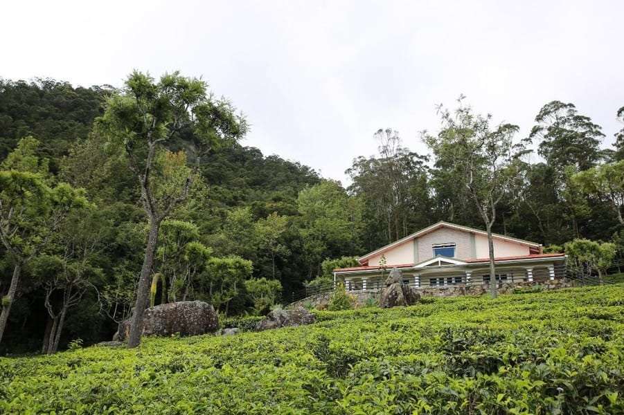 Exterior View of the Homestay