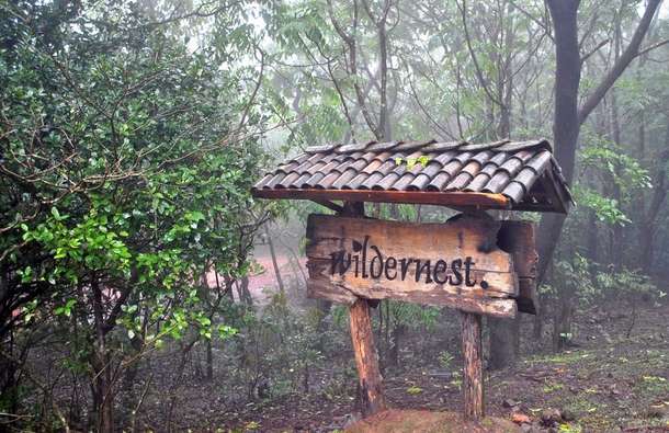 P9pqr67jpns3iuektkkoww1ljxrp 1592381137 wilder3