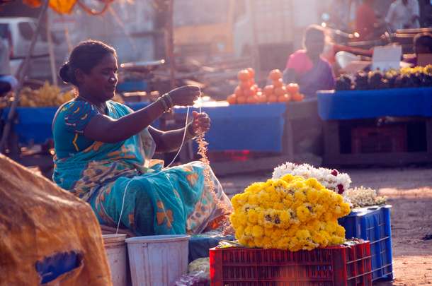 Pap9mo2f3yds7kw6lrunfwalz8mq shutterstock 1388277038