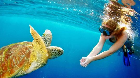 Snorkeling in Andaman Image