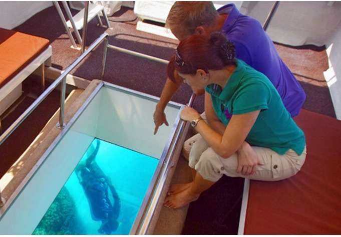 Penguin Island And Fremantle Town Tour In Australia Image