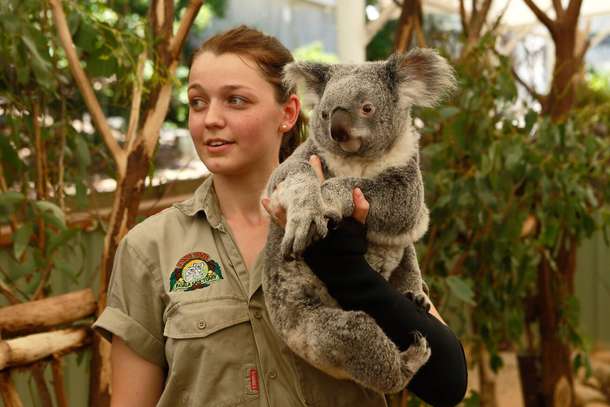 Pbvs63nooecd8fes4ut6cn5swq3c downpic.cc image68353288