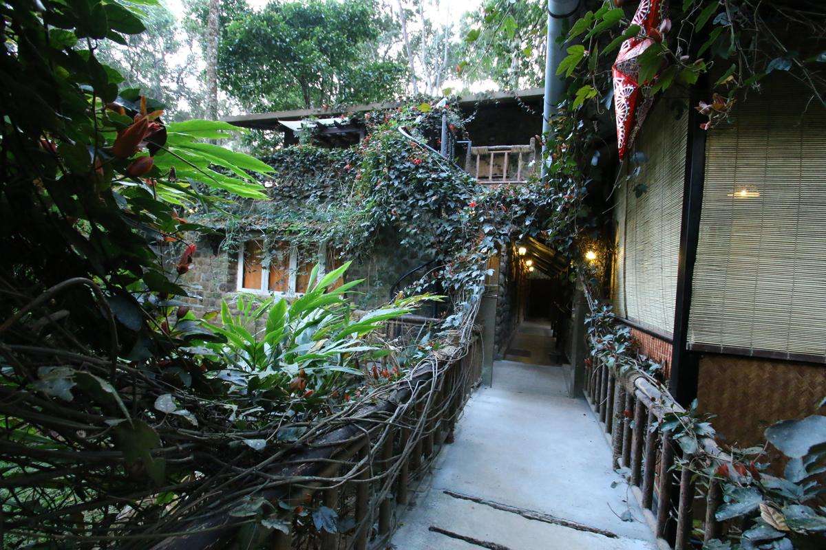 Tea Plantation Stay In Munnar Image