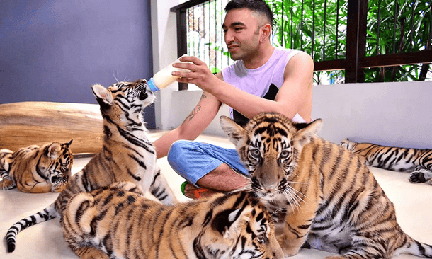 Pcn1cg8yx8pr6irx94w8khuxbqf3 lkyftr