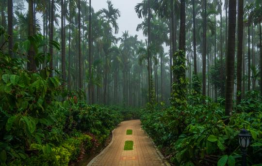 Chikmagalur Trip for 2 Days Package Image