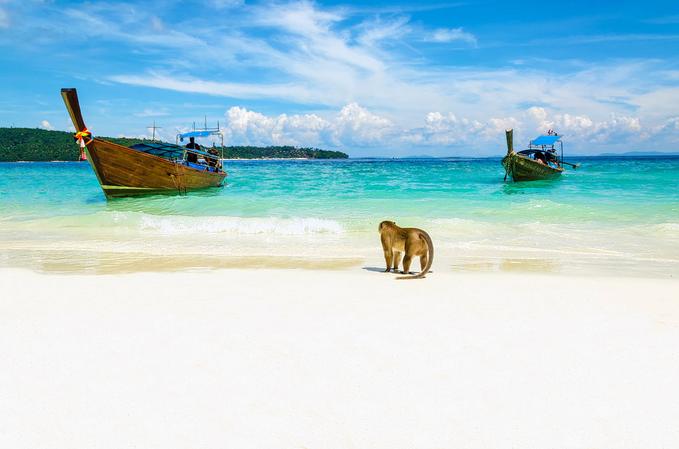Monkey Beach