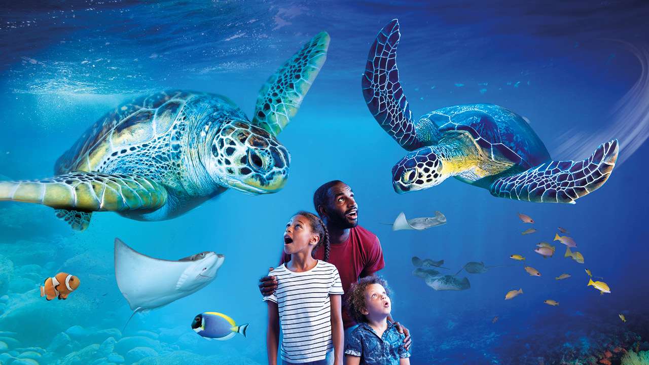 SEA LIFE Aquarium Tickets, Manchester Image