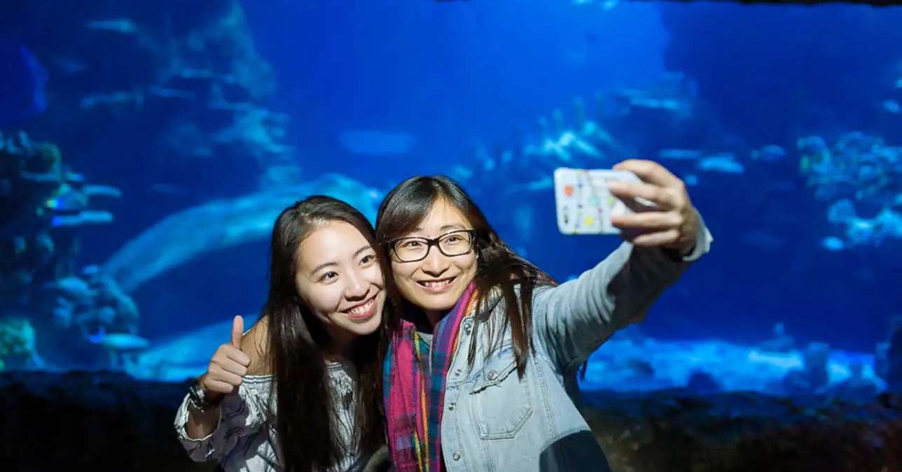 Sea Life London Tickets Image