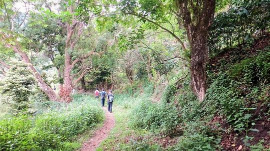 Camping With Trekking And Meals Image