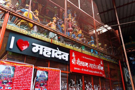 Rishikesh Local Sightseeing Tour Image