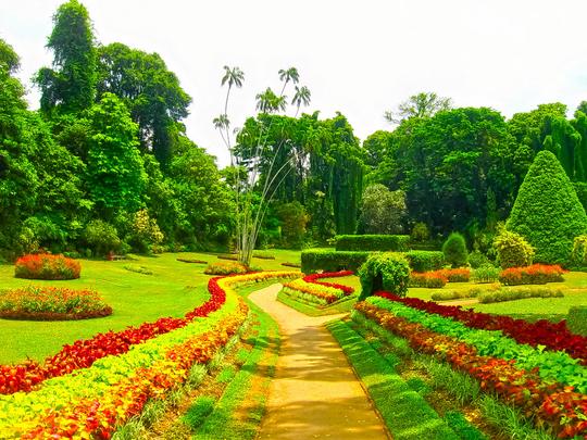 Kandy City Tour  Image