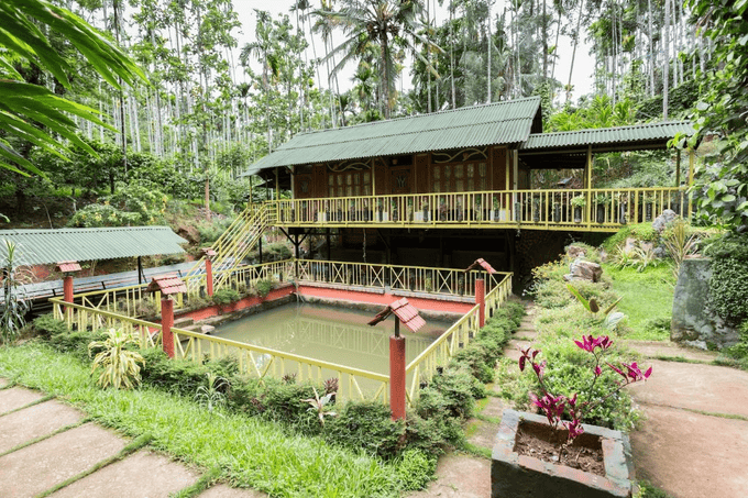 Luxurious Stay Amid Coffee Plantation in Wayanad