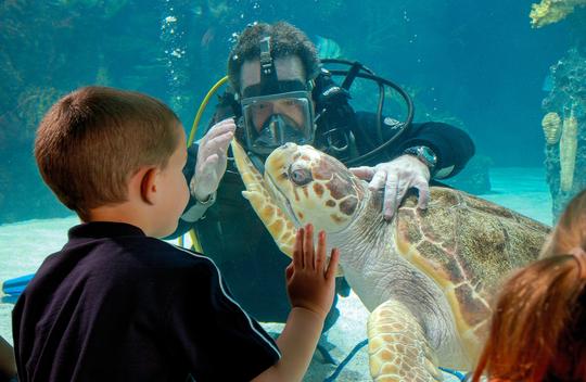 Newport Aquarium Tickets Image