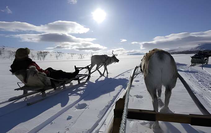 Lapland Reindeer Safari From Saariselka With Transfers