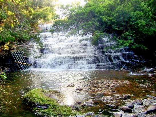 Pambar Falls Trekking Kodaikanal