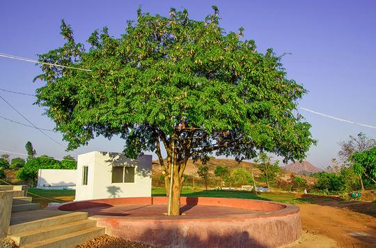 Valley Vibes Resort Image