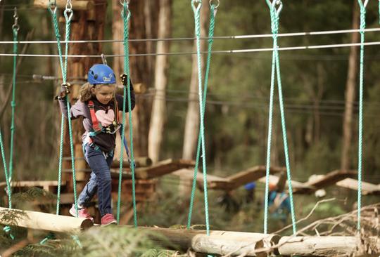Treetops Adventure - Nowra Shoalhaven Park Image