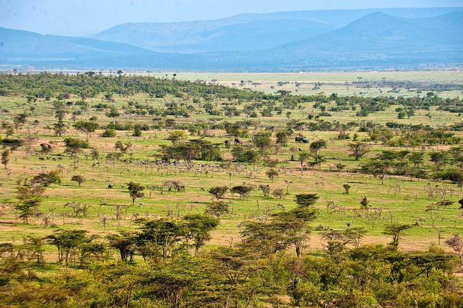 Mara Naboisho Conservancy