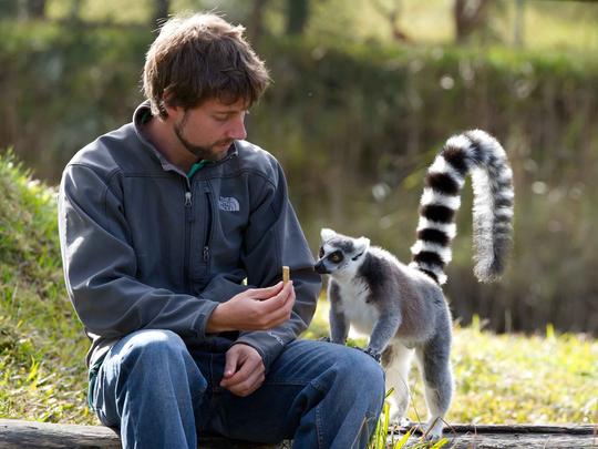 Mogo Wildlife Park Sydney Tickets Image