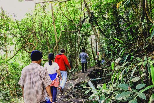 Coffee Tour Coorg Image