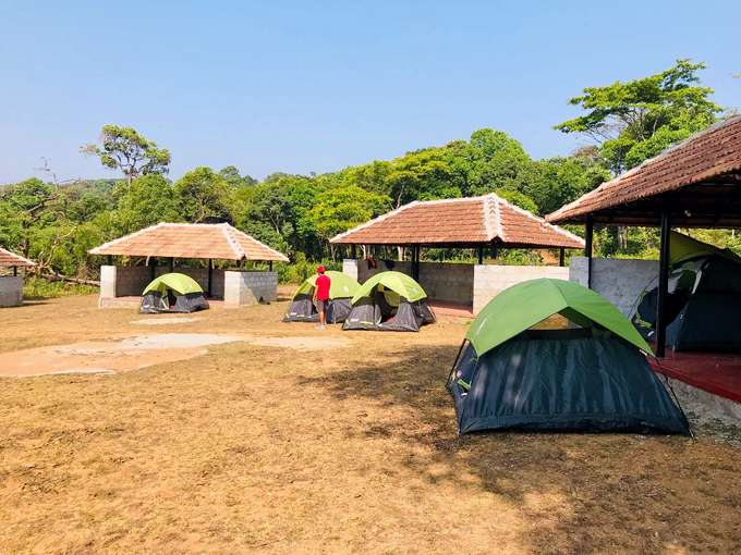 Nature Camping Experience in Coorg
