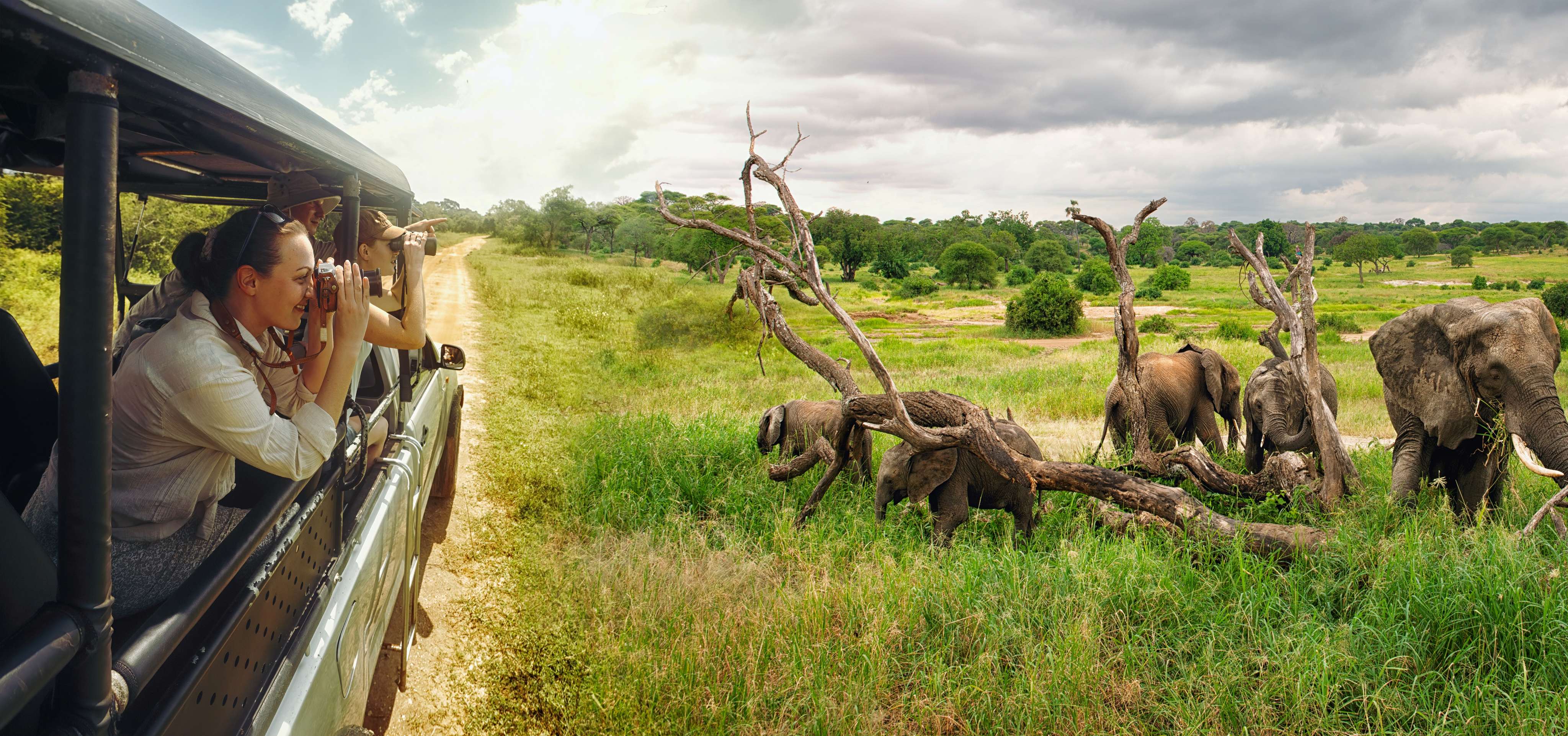 Highlights Of Sri Lanka