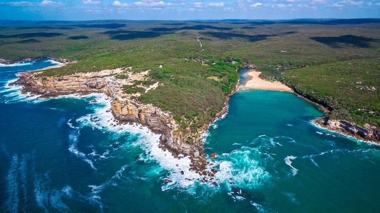 Royal National Park, Sydney