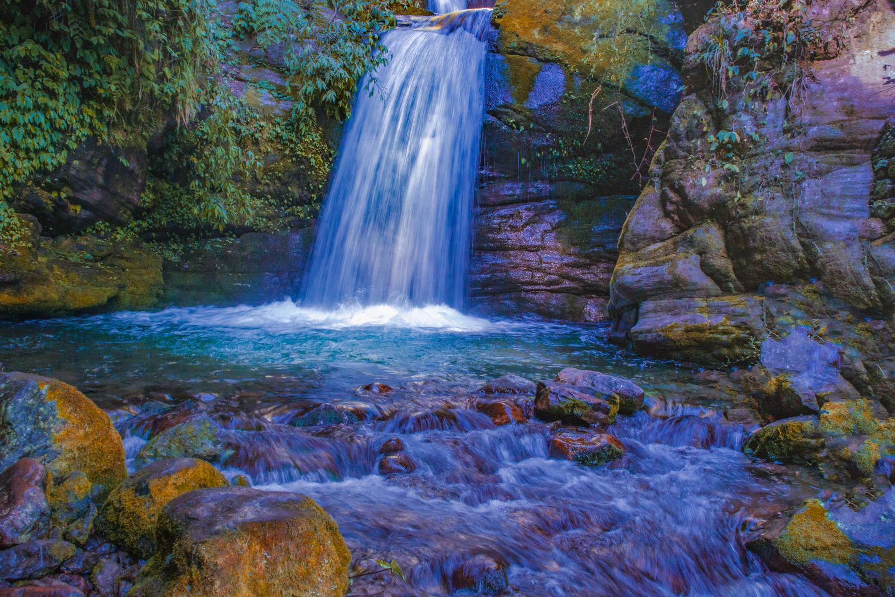 Pelling Sightseeing Tour Image