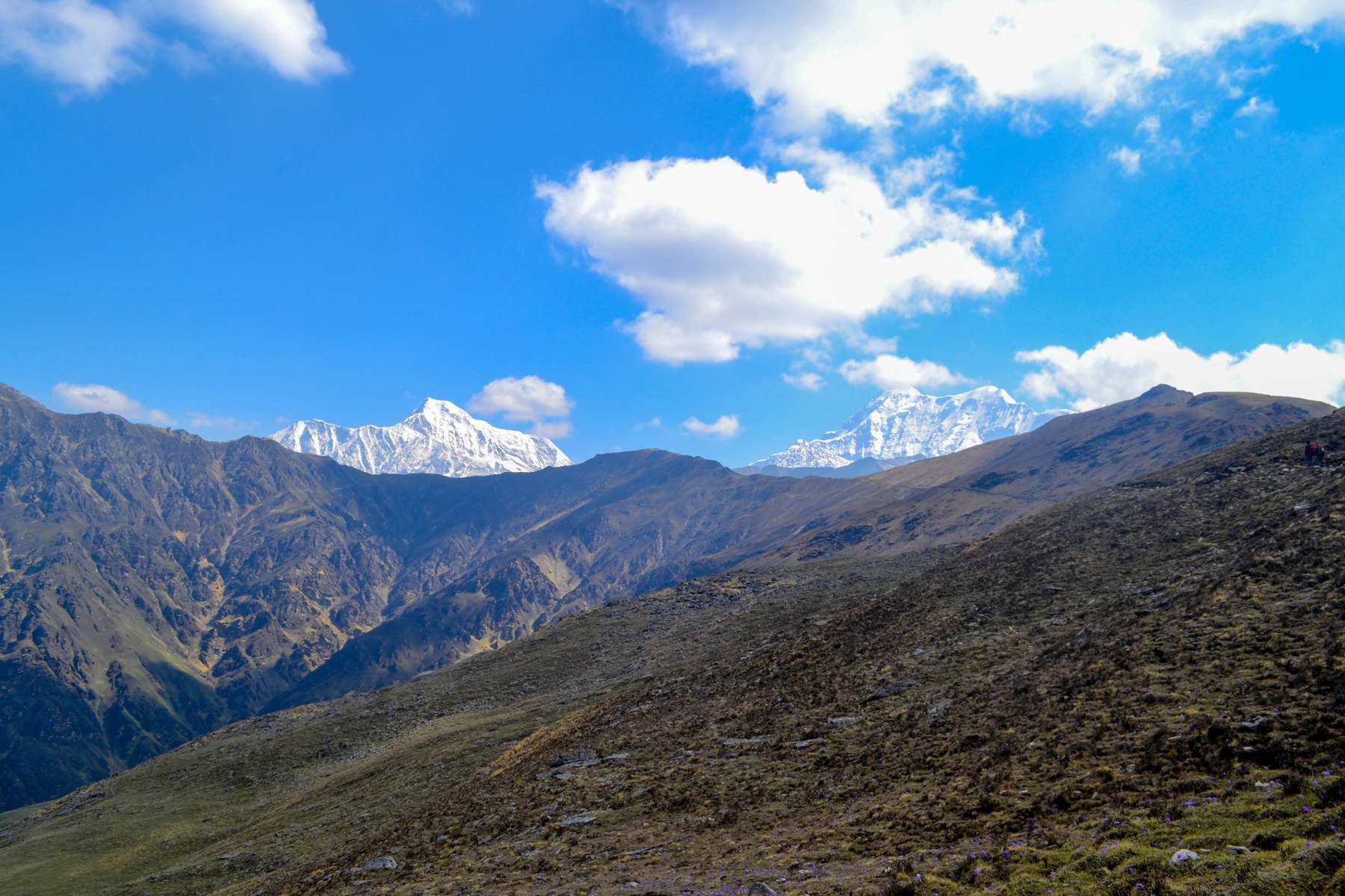Ali Bedni Bugyal Trek Image