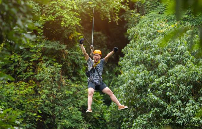 Soar above pine forests with excitement