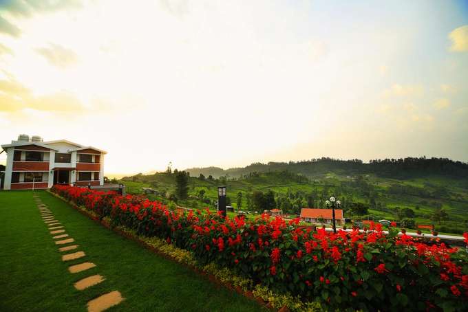 There are more than 100 varities of flowers within the resort