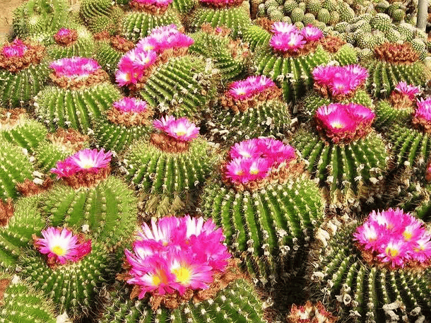 Pt6mmspzsrlshxeu7i4cobkoe0ua e894e238fdf246fccbd4ff6e7365282f