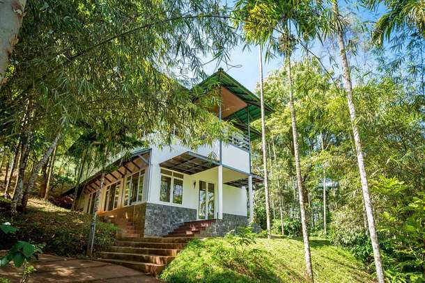 The Woods Resort, Wayanad | Luxury Staycation Deal