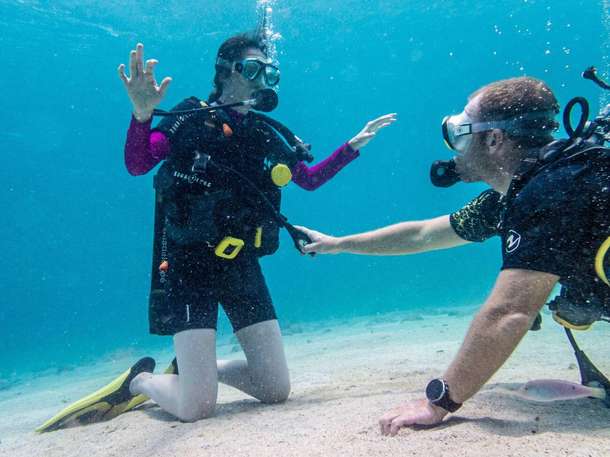 Pulsgmw8xwel82cphyjlfmsiivmt downpic.cc image462874237