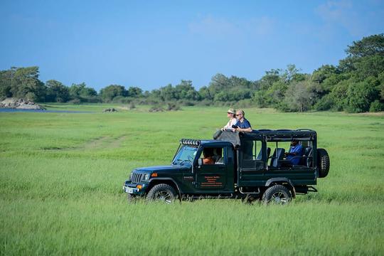 Minneriya National Park Safari from Anuradhapura Image