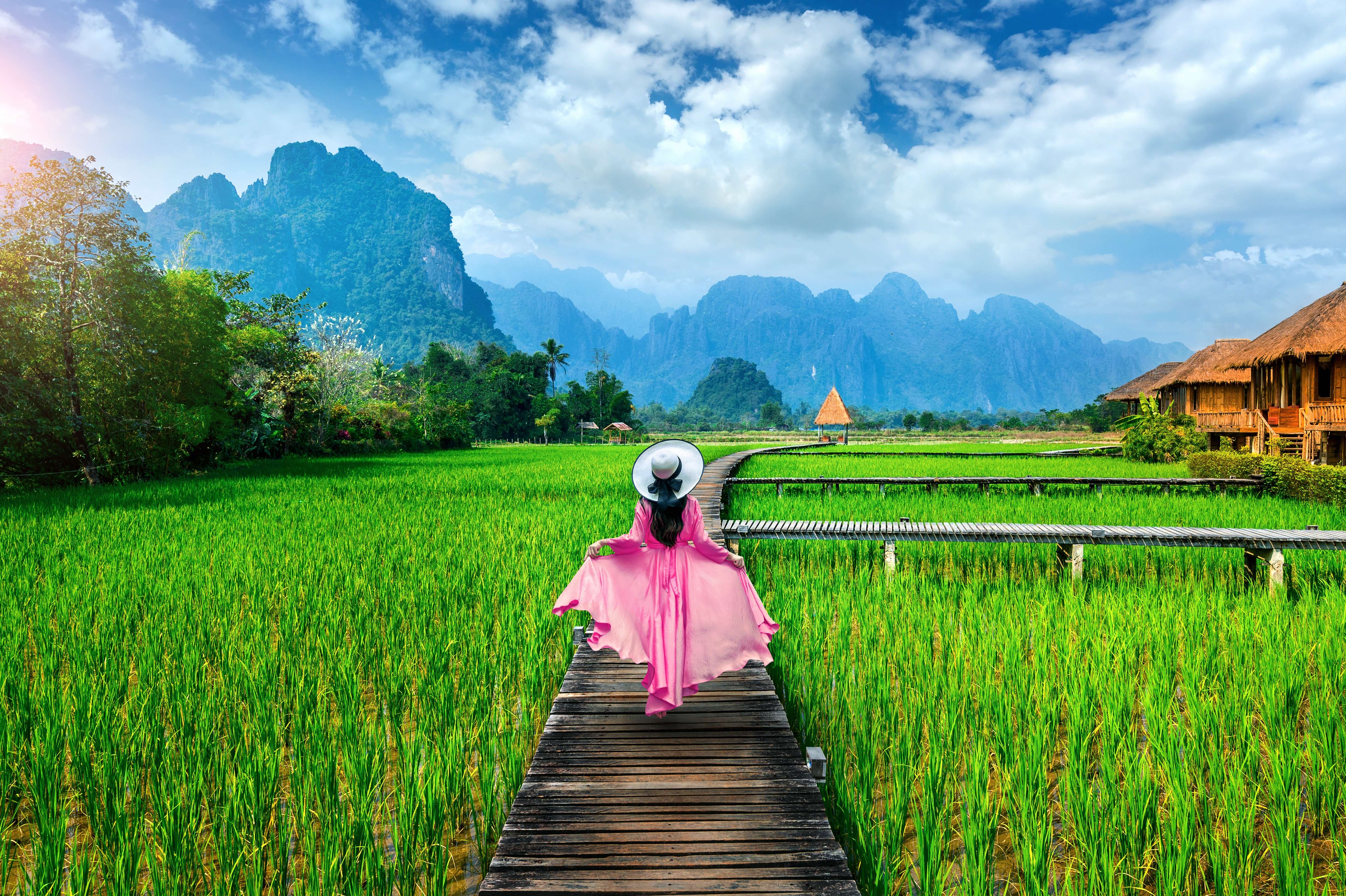 Wander through the green rice field in Vang Vieng