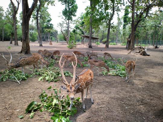 Coorg Tour Package for 2 Days Image