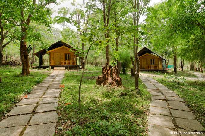 Sakrebyle Elephant Camp