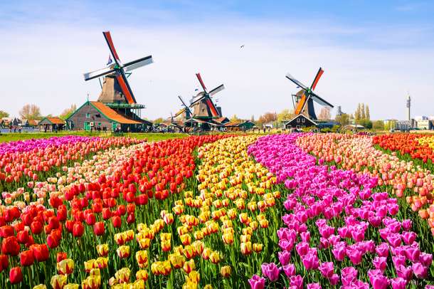 Zaanse Schans, Volendam, and Marken Day Tour from Amsterdam