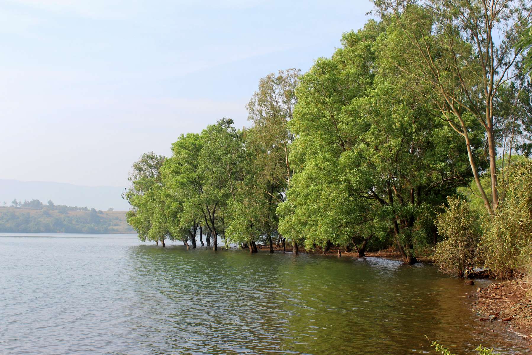 Lake View Villa with Private Pool In Kamshet Image