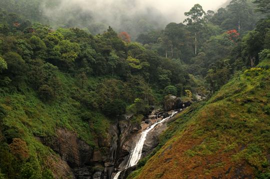 Munnar Sightseeing Tour Image